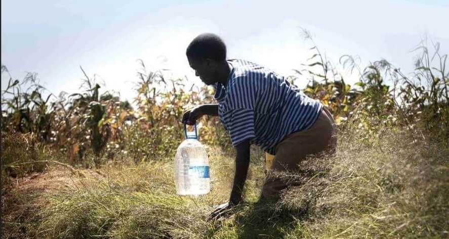 Water is Life: Women's human rights in national and local water governance in Southern and Eastern Africa